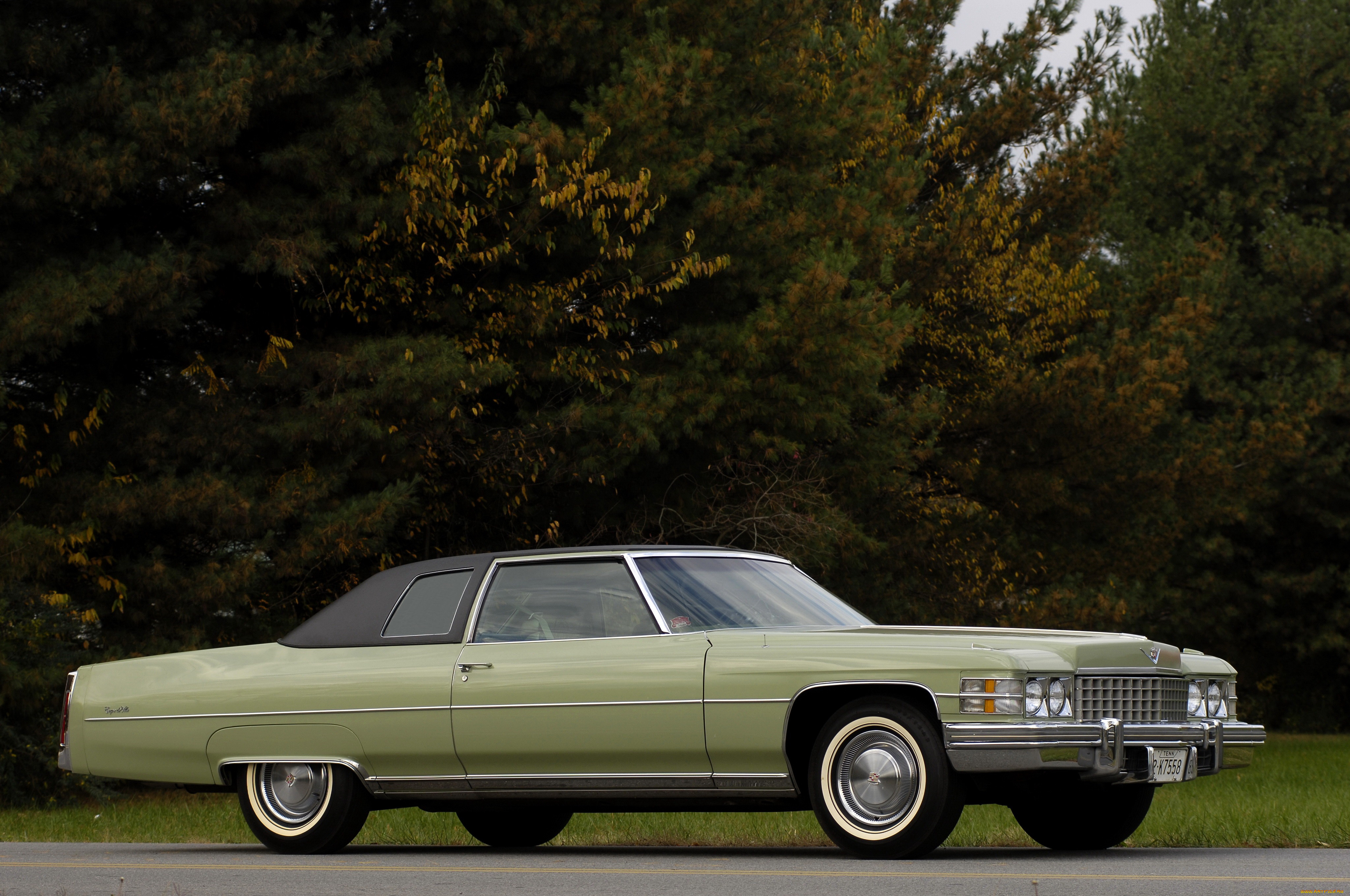 , cadillac
